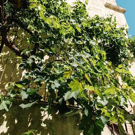 Bed & Breakfast Beb Volta Altamura